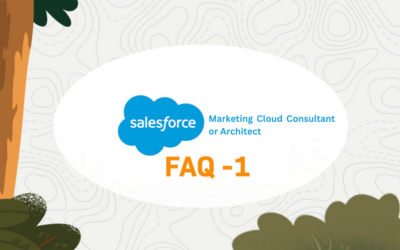 Top 20 Interview Questions (and Answers) for Evaluating your next Salesforce Marketing Cloud Consultant or Architect (Part-1)