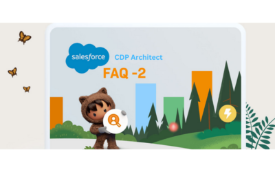 Top 20 Interview Questions (and Answers) for Evaluating Your Next Salesforce CDP Architect (Part-2)