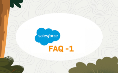 Top 20 Interview Questions (and Answers) for Evaluating your next Salesforce Admin (Part-1)